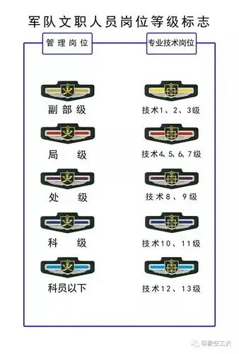 军队文职人员岗位等级标志根据岗位的不同分为两类:管理岗位分为:副