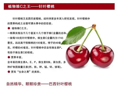 樱桃粉针叶樱桃提取物樱桃提取物厂家包邮长期