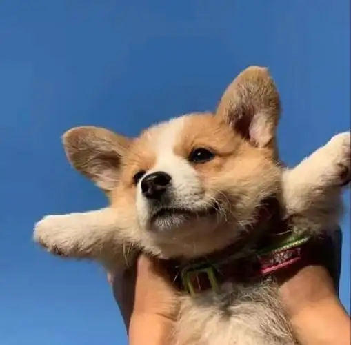 有没有特别好看有内涵不渣男的男生微信头像? - 知乎