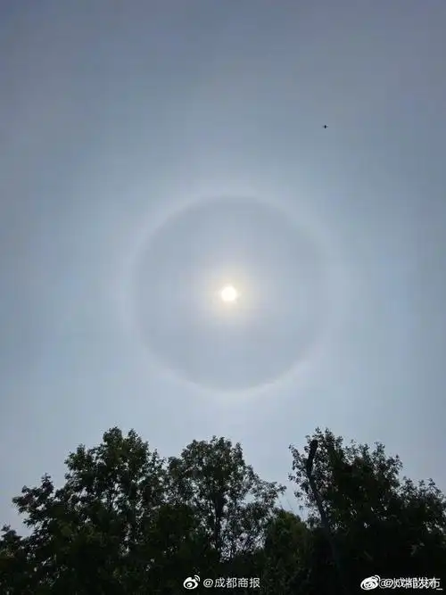 成都日晕# 你看到了吗? 今日,成都上. 来自成都商报 - 微博