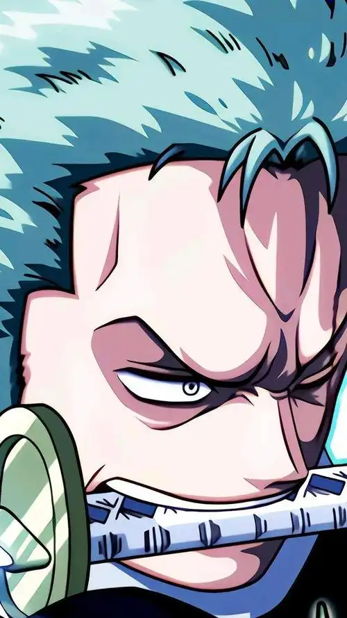 壁纸|《海贼王》索隆壁纸_网易订阅