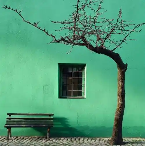 20张唯美的极简主义摄影作品极简之美