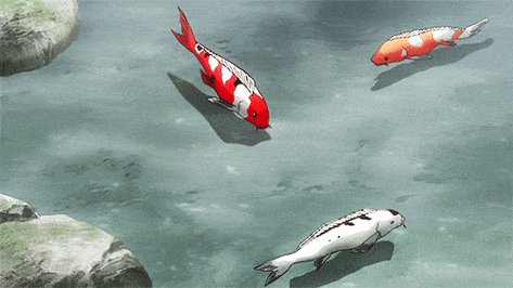 500_281gif 动态图 动图