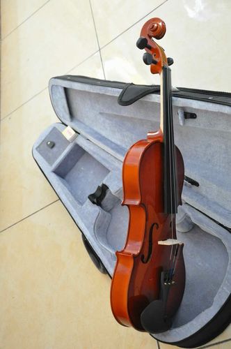 夹板小提琴 学生练习琴 专业乐器销售 欢迎选购 样式齐全