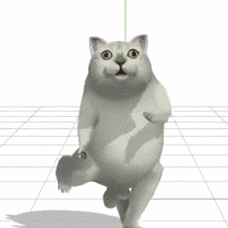 憨憨猫跳舞gif表情包合集