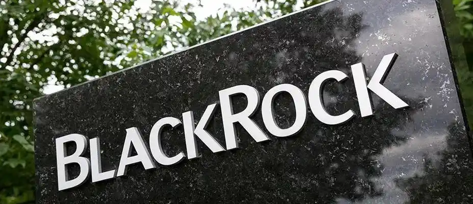 全球最大资产管理公司贝莱德比特币或将演变成全球市场资产