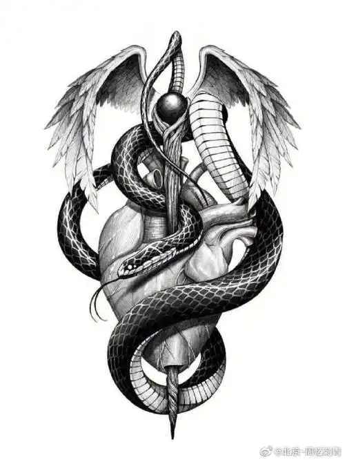 纹身分享##纹身手稿##北京纹身