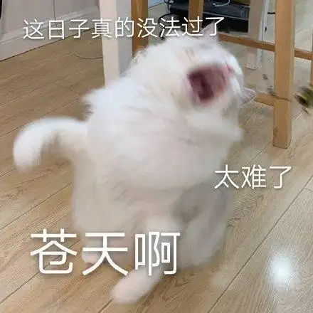 萌宠猫星人苍天啊太难了呆萌可爱gif动图_动态图_表情包下载_soogif