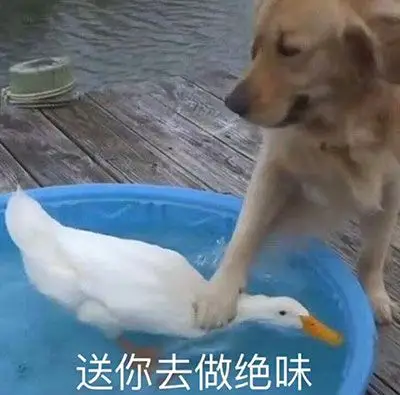 抓鸭子-皮蛋表情包