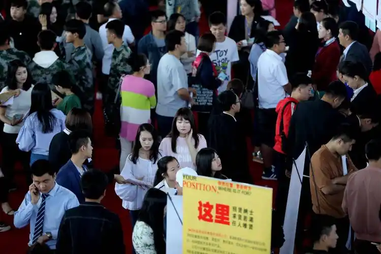 美女大学生红毯应聘 找工作也有明星范儿