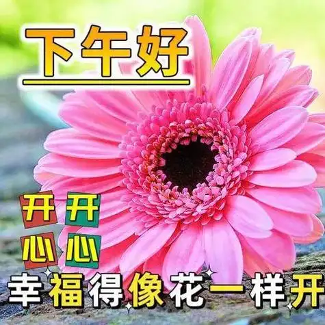 下午好问候语大全 下午好祝福语图片|快乐|清晨|晨光|幸福|开心_网易