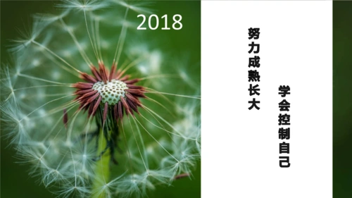 努力成熟长大-学会控制自己.ppt