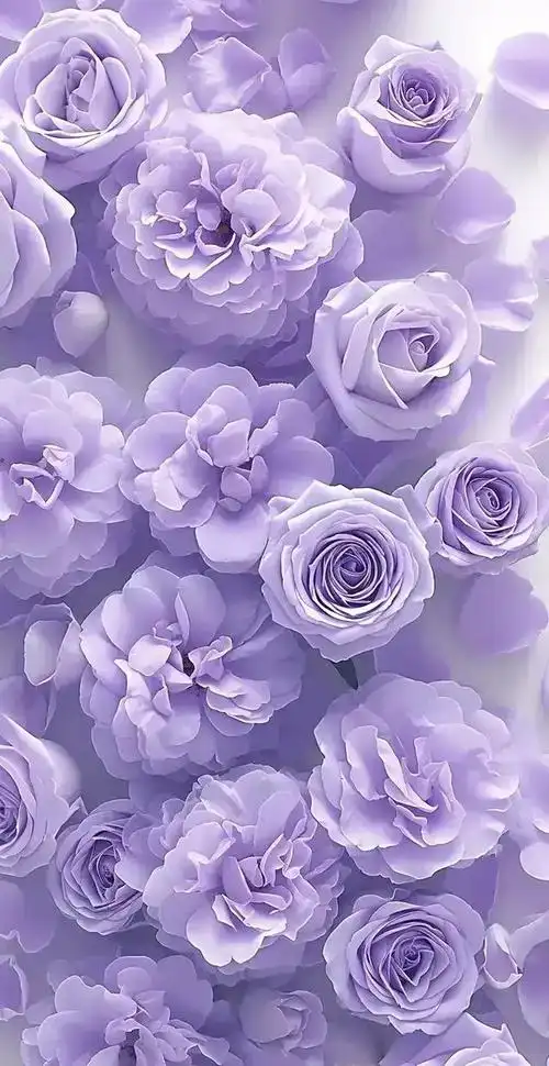 今天,我将为你呈现一组唯美紫色系手机高清壁纸,让你在每一个解锁的