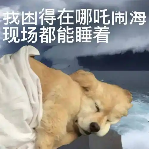 表情包|很内向 出门都走下水道_开心_版权_礼物