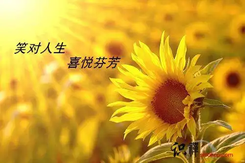 笑对人生 喜悦芬芳
