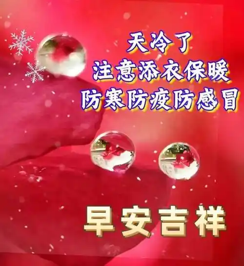 今日最新早上好表情图片大全,天气寒冷,注意保暖,开心天天!