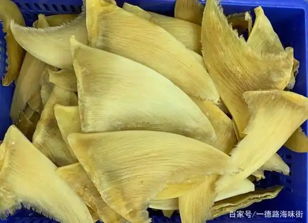 鱼翅的由来历史,种类,营养功效及品鉴