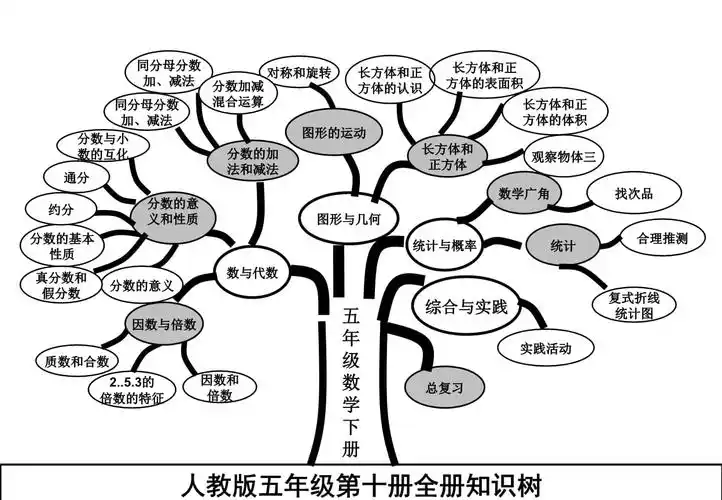 人教五年级下册数学知识树pptx9页