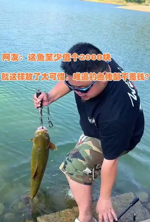 但还真没错,正常情况下,军鱼的价格约为128元左右,而即使按这个价格算