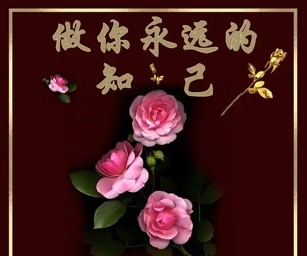 心灵的默契 一生的知己【图文音画】