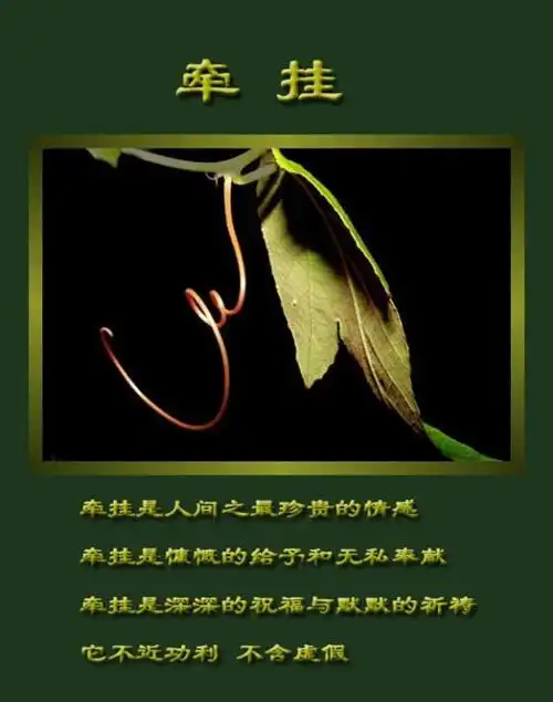 牵挂的意思 牵挂(一)