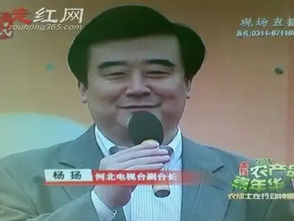 方琼老公杨阳个人简历和程诚成为很好的朋友