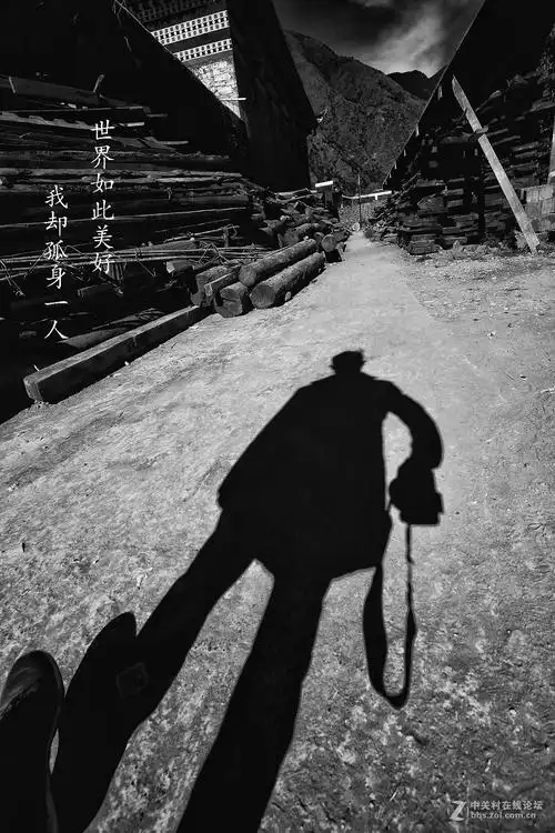 世界如此美好我却孤身一人