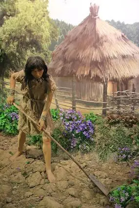 原始人用火后存留的灰烬高清图片下载_红动中国