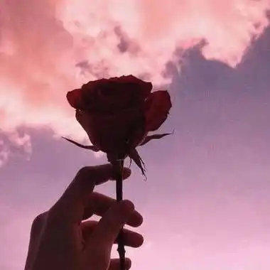 单独一朵花头像 有意境的简约风景头像 - 微信头像 - 潮人个性网