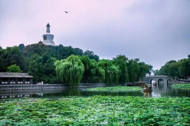 北海公园需要预约吗