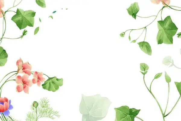 黑夜里的玫瑰花ppt背景图片