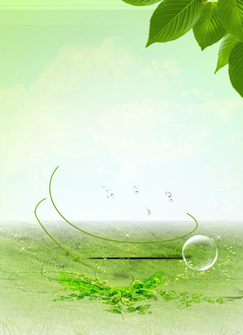 白底绿叶微商面膜推广海报背景素材