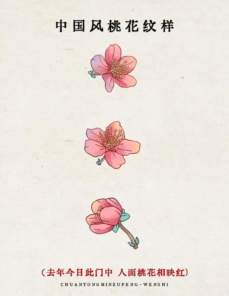 中国风花卉纹样-桃花插画.桃之夭夭,灼灼其华.桃花工笔画 # - 抖音