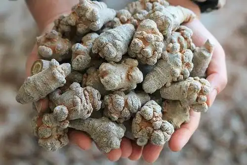 那个长期吃三七的人,竟然会变成这样,神奇!