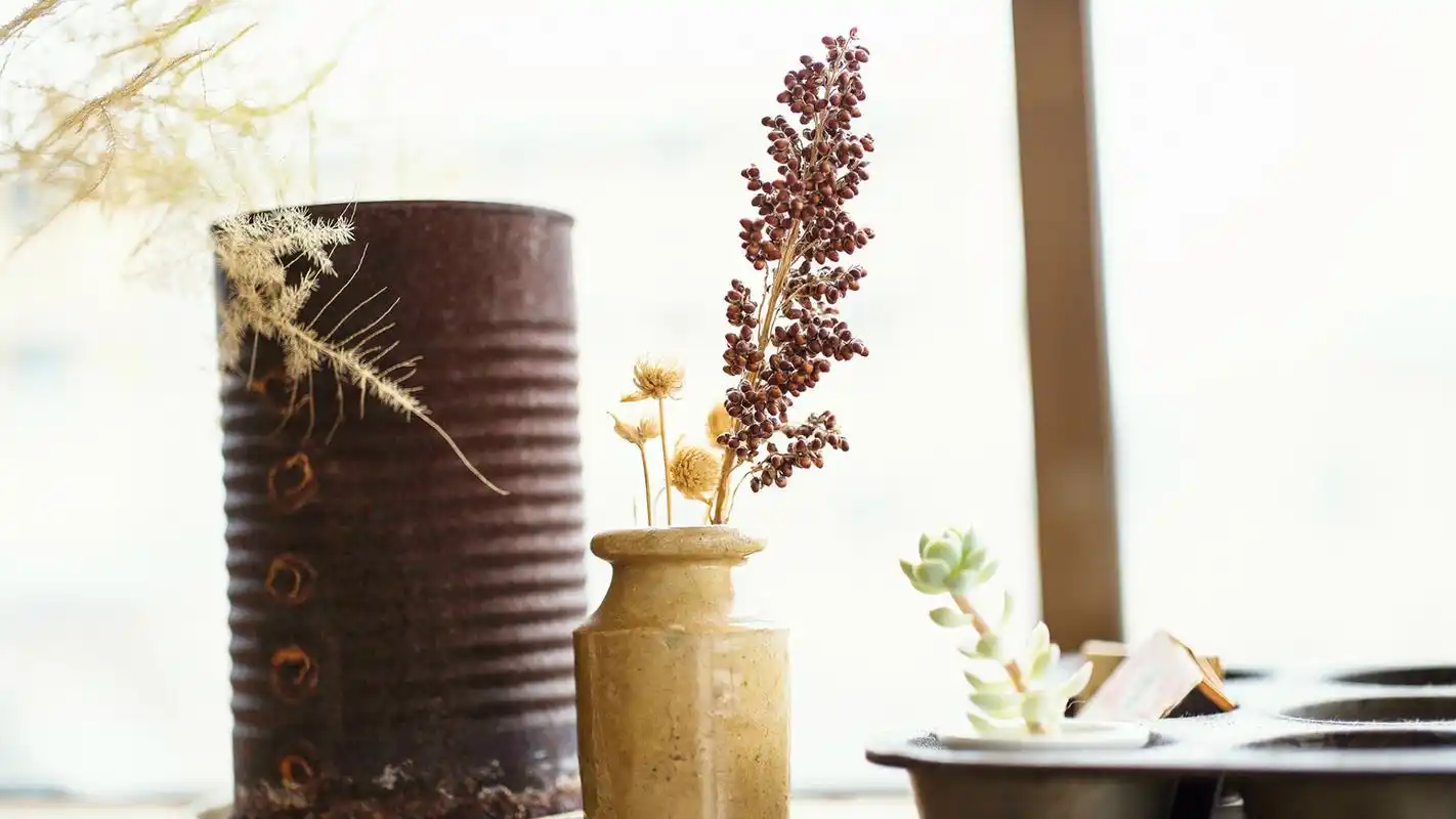 治愈系小清新静物唯美高清壁纸