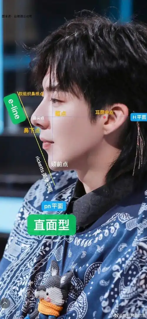 刘宇宁的帅是客观的,有根据的.脸型恰到好处堪比整容模板.