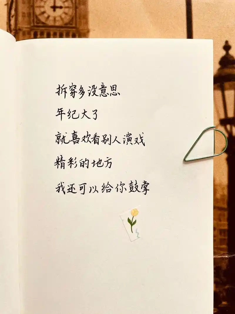 04人间清醒语录「拆穿多没意思,年纪大了」 拆穿多