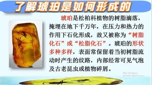 课文琥珀是怎么形成的过程课文琥珀的形成过程