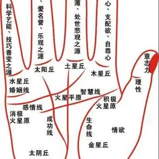 5,左手大拇指的痣代表事业雀跃,有使命感,患上晚辈心疼.