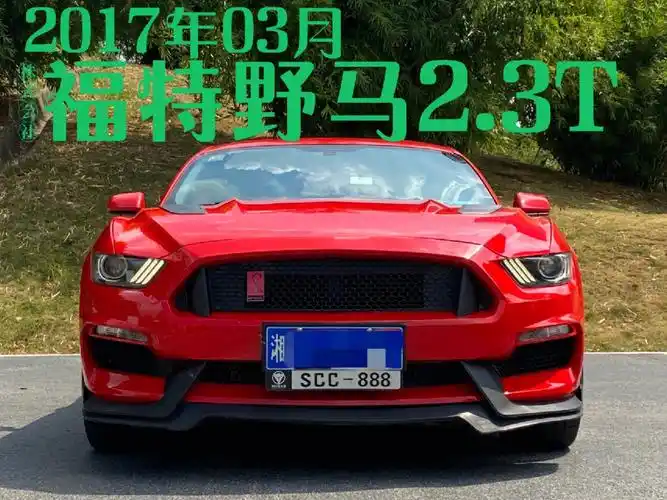 福特野马价格便宜无事故无水泡无火烧