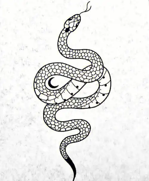 太原纹身小情新蛇纹身手稿分享