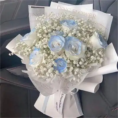 唯美高级感ins风鲜花背景图大全