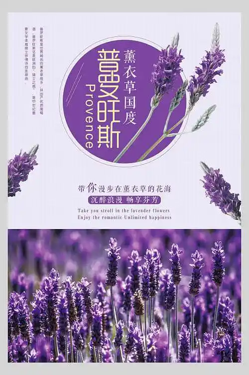 薰衣草海报背景图片-薰衣草海报背景设计素材-薰衣草海报背景模板下载