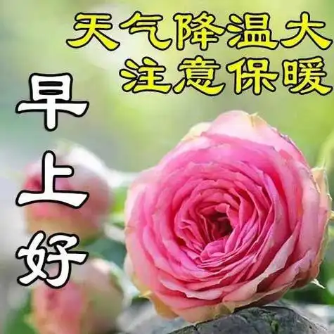 新的一天愿你收获满满的幸福和喜悦早安