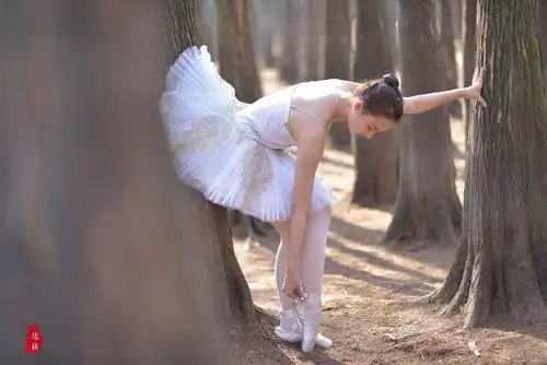 森林芭蕾舞女孩