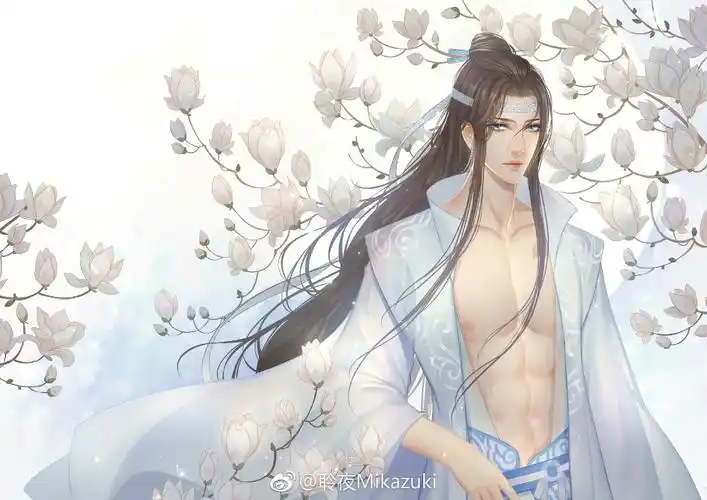 蓝忘机 - 堆糖,美图壁纸兴趣社区