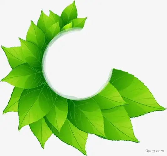 春天树叶造型设计png素材透明免抠图片-动植人物