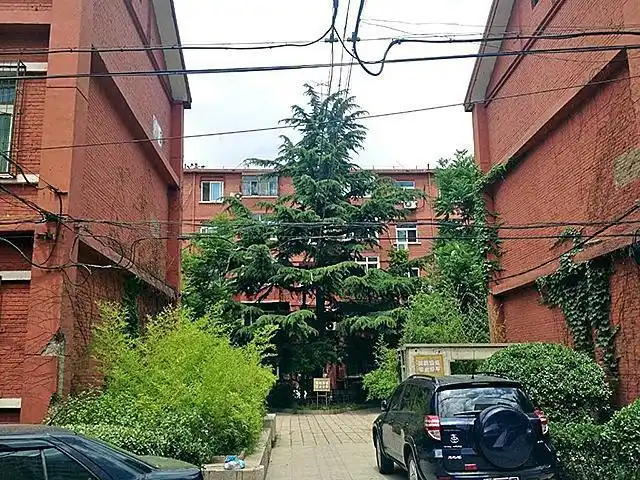 解密北京军区大院子弟都懂的社会潜规则