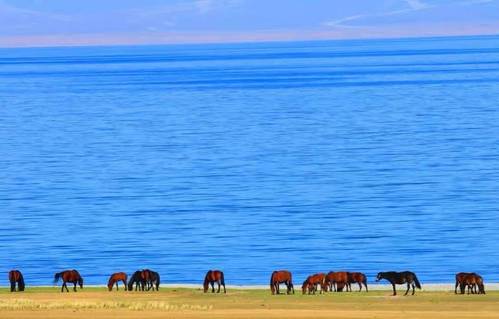 一元钱壁纸0.01元公自动发货商品一分钱单壁纸图片益素材5