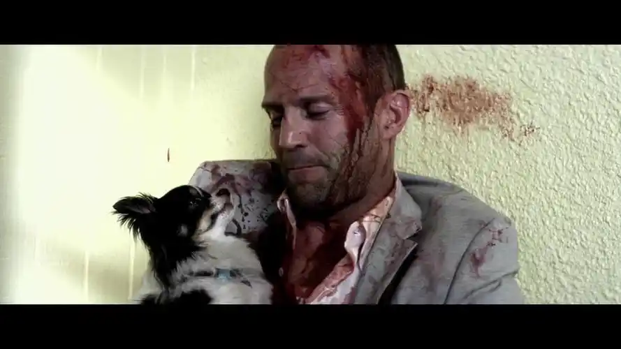 data-id="gnt0aib0ps">《帕克》是由《帕克》系列小说改编的动作电影